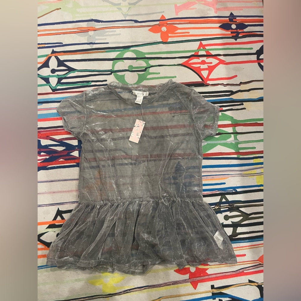 NWT Silver Sheer Top